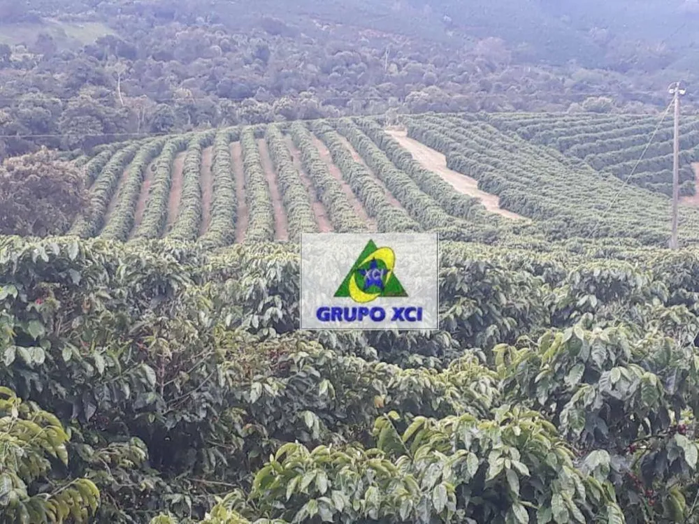 Fazenda, 252 hectares - Foto 7