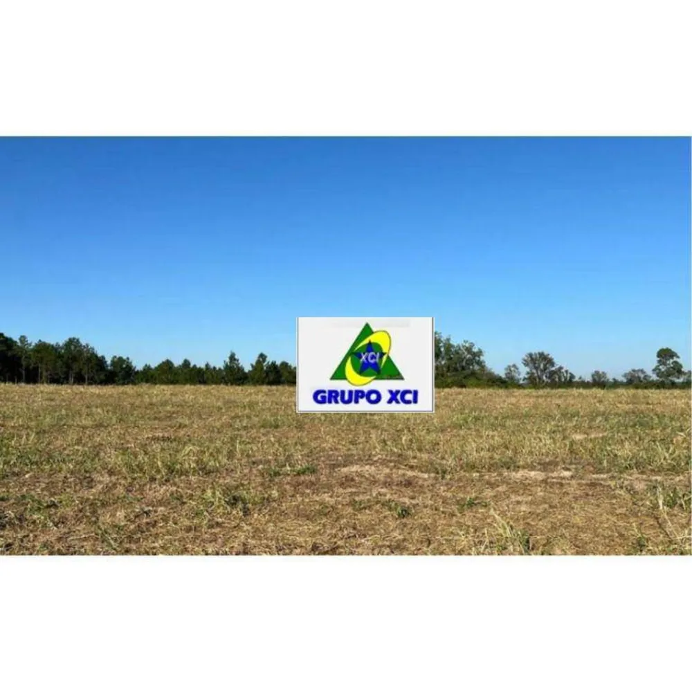Terreno, 18 hectares - Foto 6