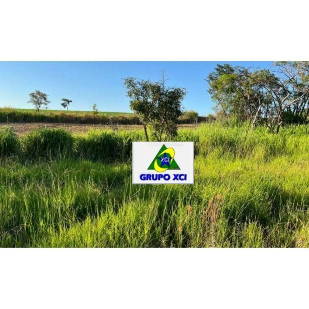 Terreno, 18 hectares - Foto 5
