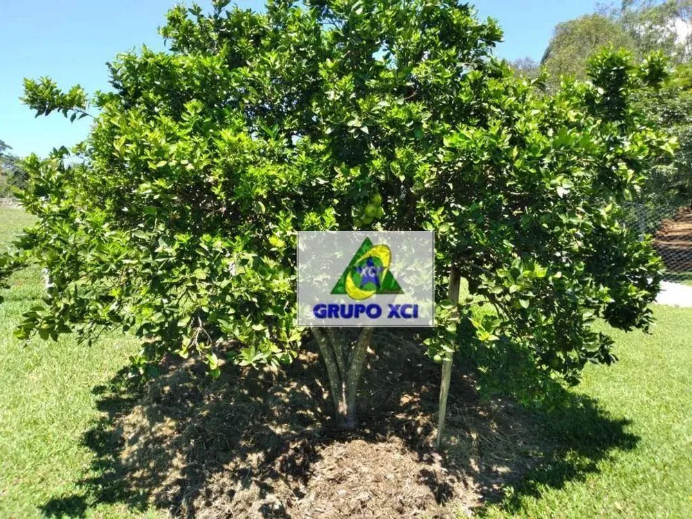 Chácara, 3 quartos, 3000 m² - Foto 13