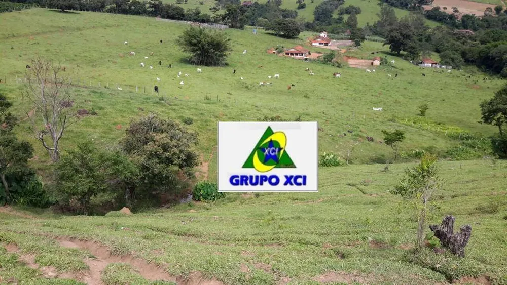Fazenda, 109 hectares - Foto 6