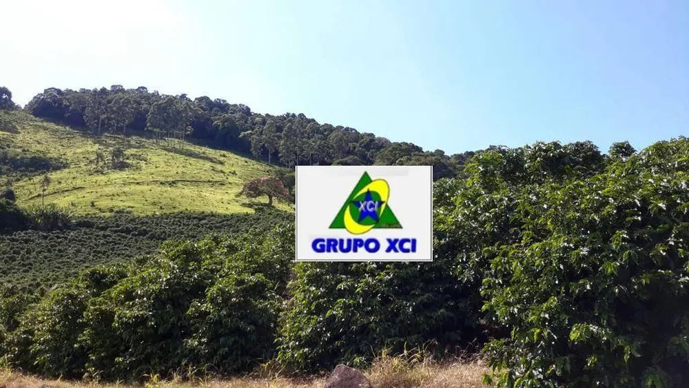 Fazenda, 109 hectares - Foto 8