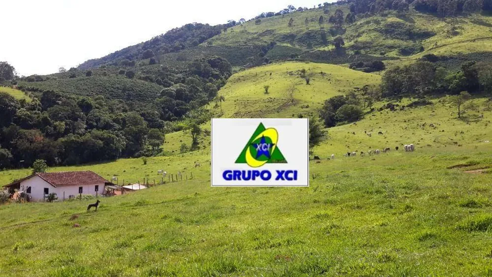 Fazenda, 109 hectares - Foto 4