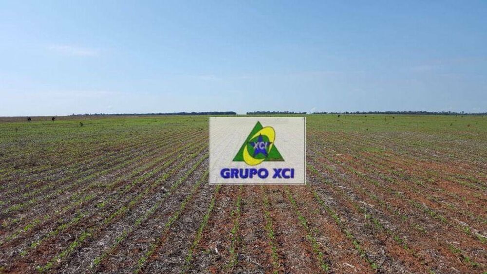 Fazenda à venda com 3 quartos, 46000000M2 - Foto 3