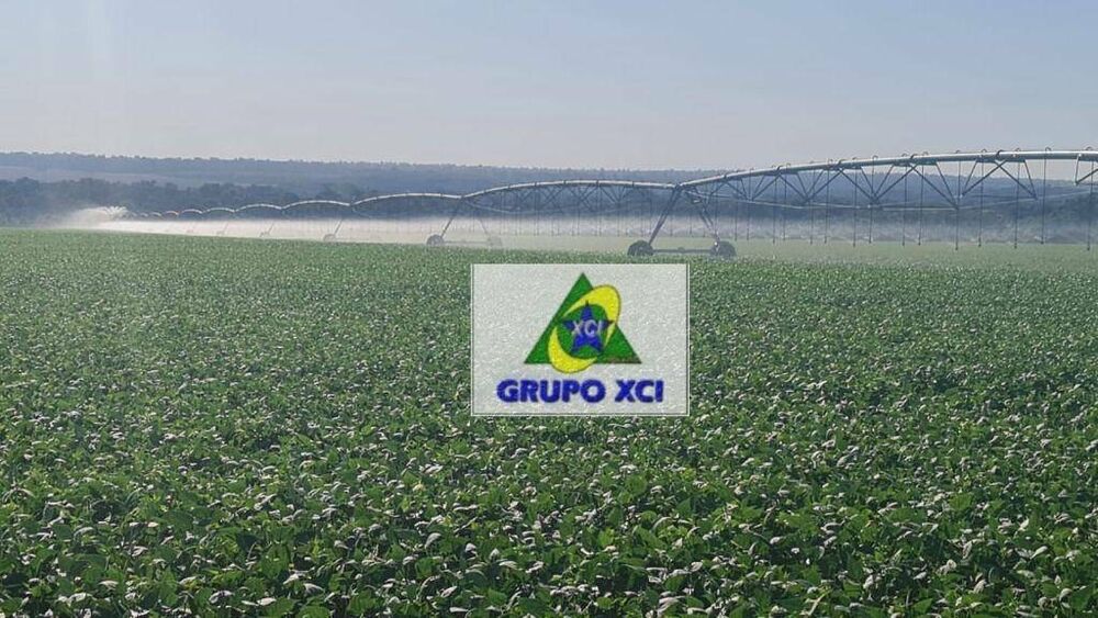 Fazenda à venda com 3 quartos, 46000000M2 - Foto 7