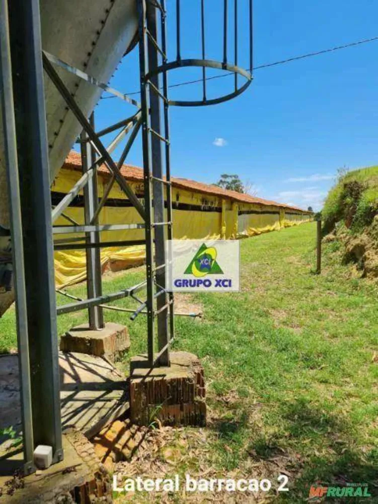 Fazenda, 5 hectares - Foto 4