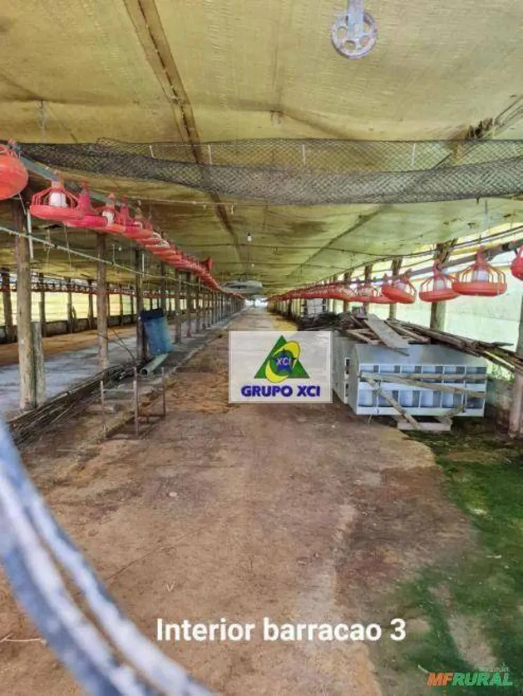 Fazenda, 5 hectares - Foto 1