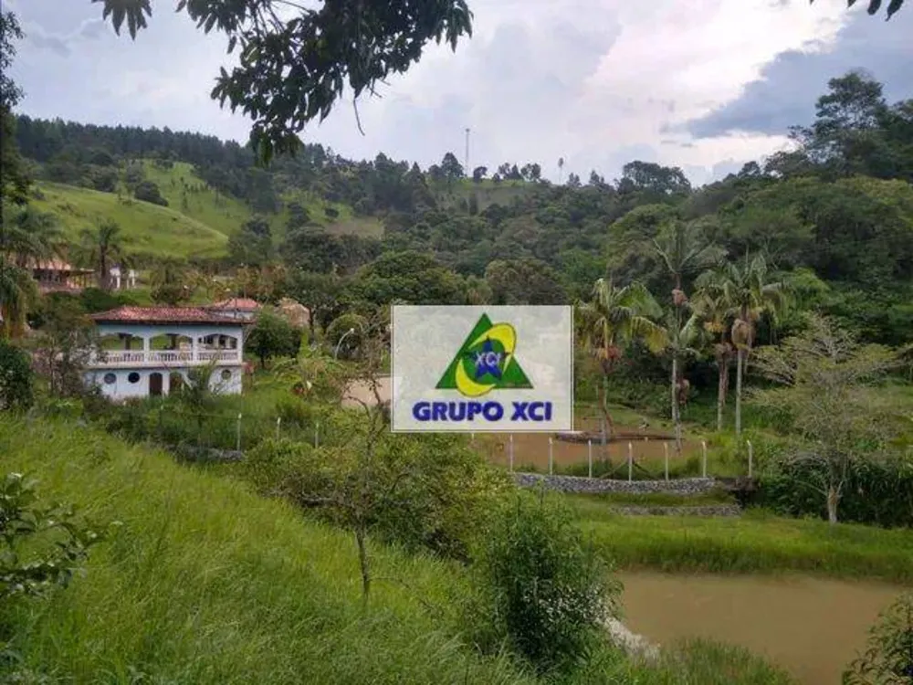 Sítio, 3 hectares - Foto 8