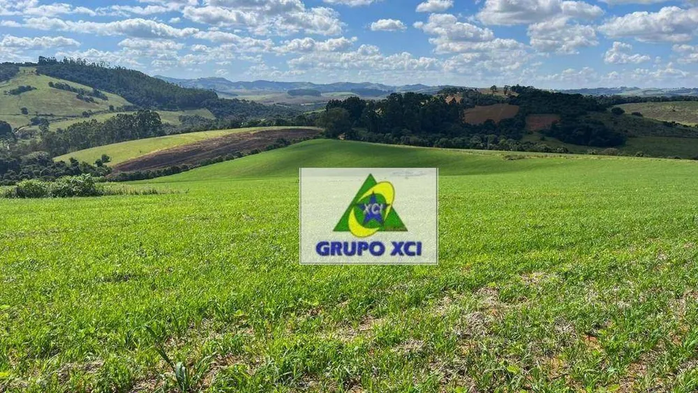 Fazenda, 339 hectares - Foto 5