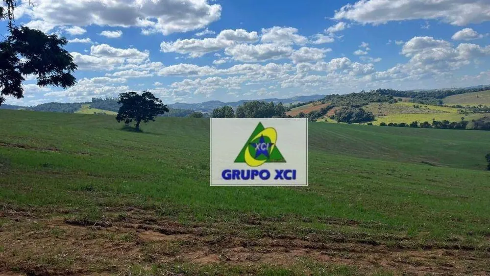 Fazenda, 339 hectares - Foto 7