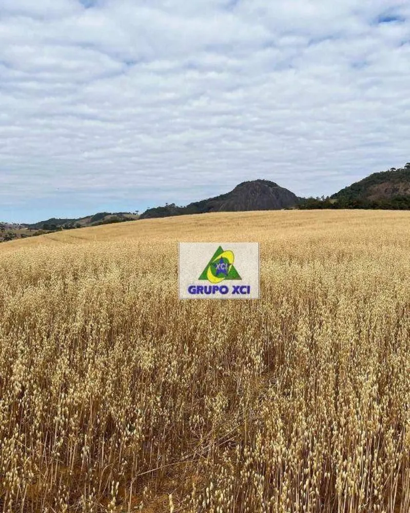 Fazenda, 339 hectares - Foto 12