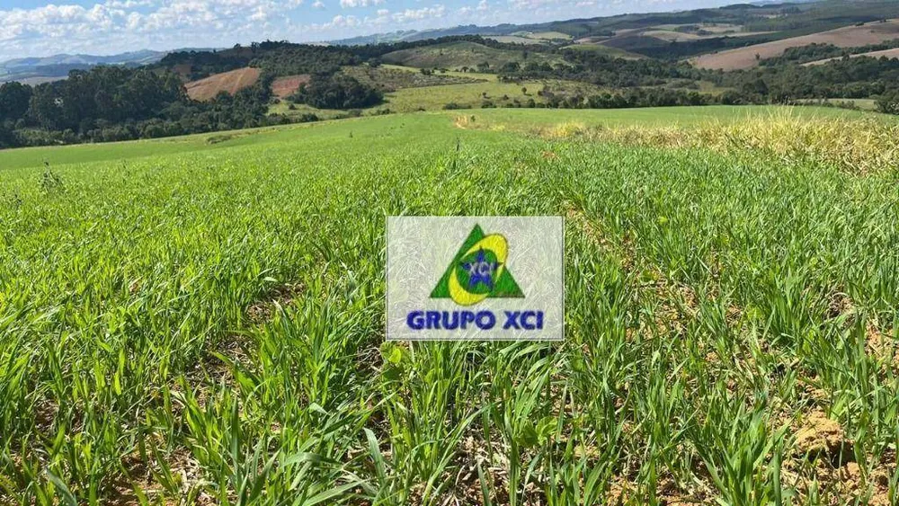 Fazenda, 339 hectares - Foto 4