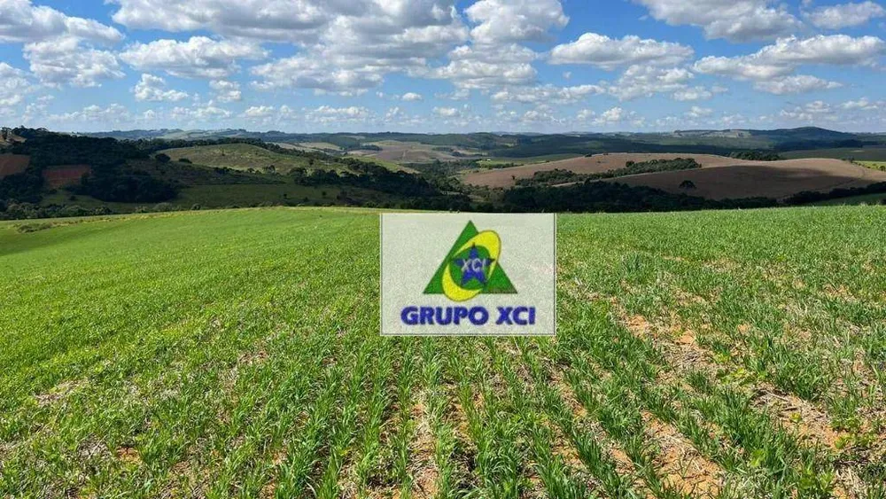 Fazenda, 339 hectares - Foto 6