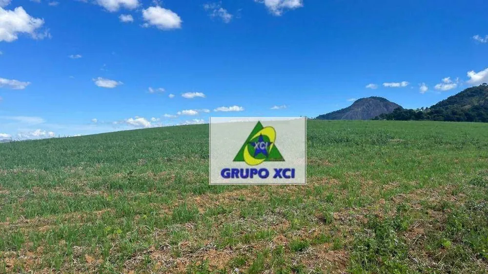 Fazenda, 339 hectares - Foto 3