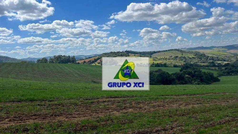 Fazenda, 339 hectares - Foto 9