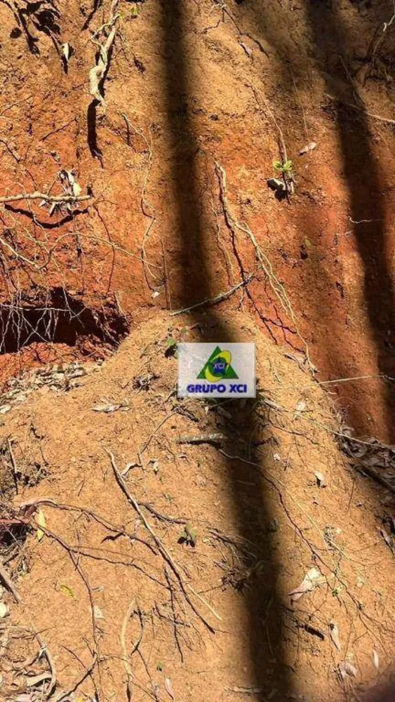 Fazenda, 339 hectares - Foto 8