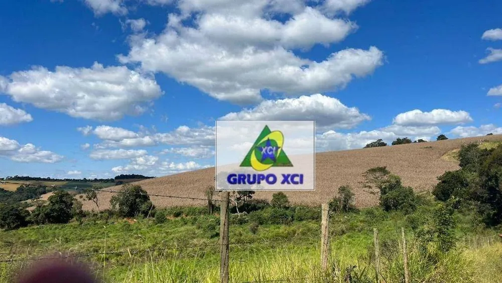 Fazenda, 339 hectares - Foto 10
