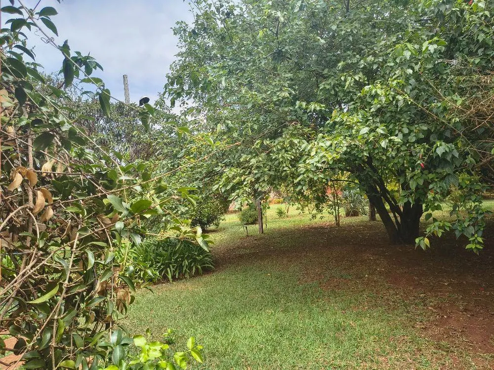 Terreno, 1500 m² - Foto 9
