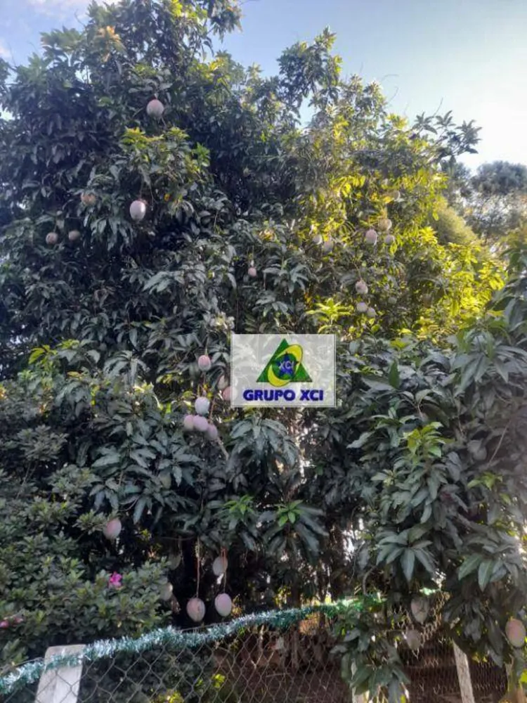 Terreno, 5000 m² - Foto 5