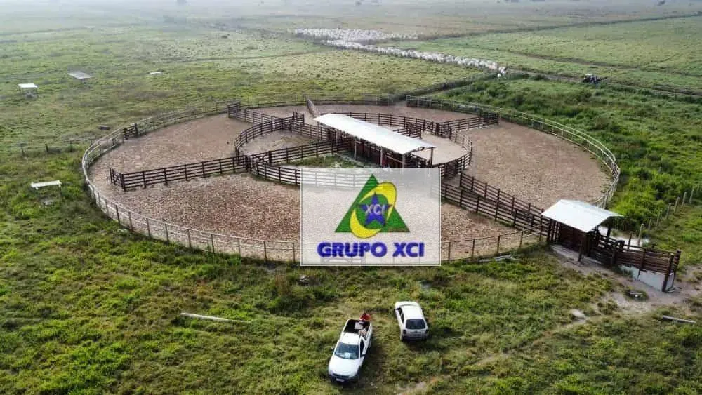 Fazenda, 520 hectares - Foto 3