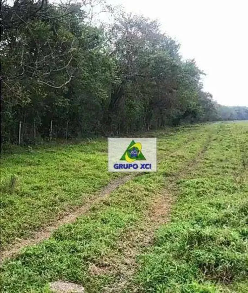 Fazenda, 520 hectares - Foto 6