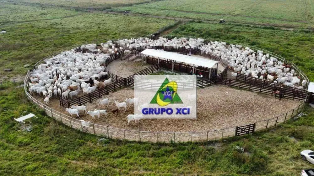Fazenda, 520 hectares - Foto 1