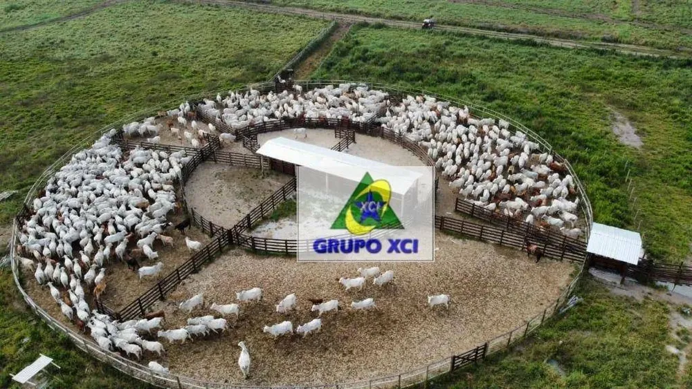 Fazenda, 520 hectares - Foto 2