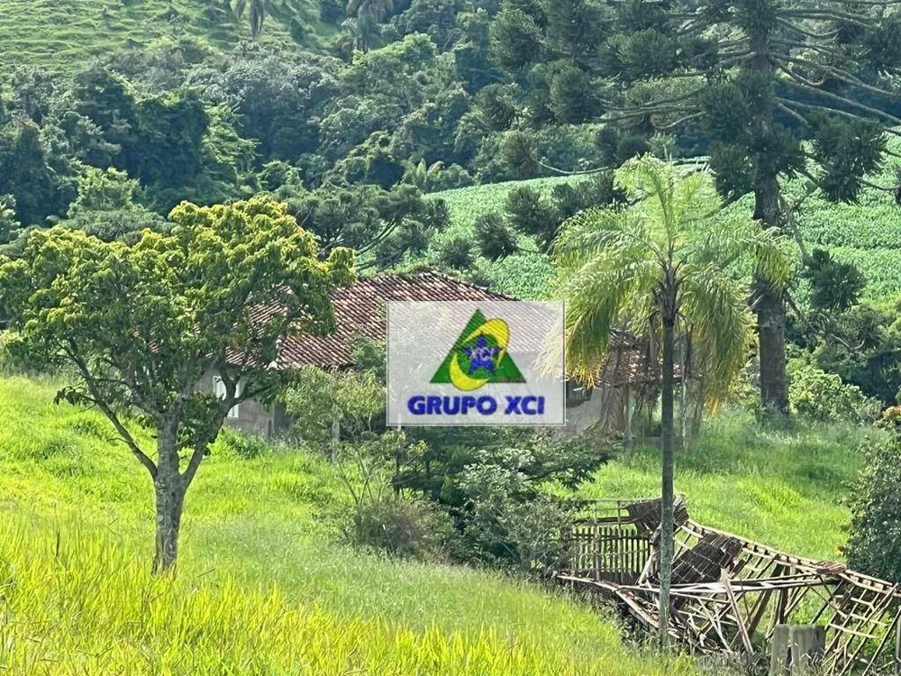 Fazenda, 254 hectares - Foto 7