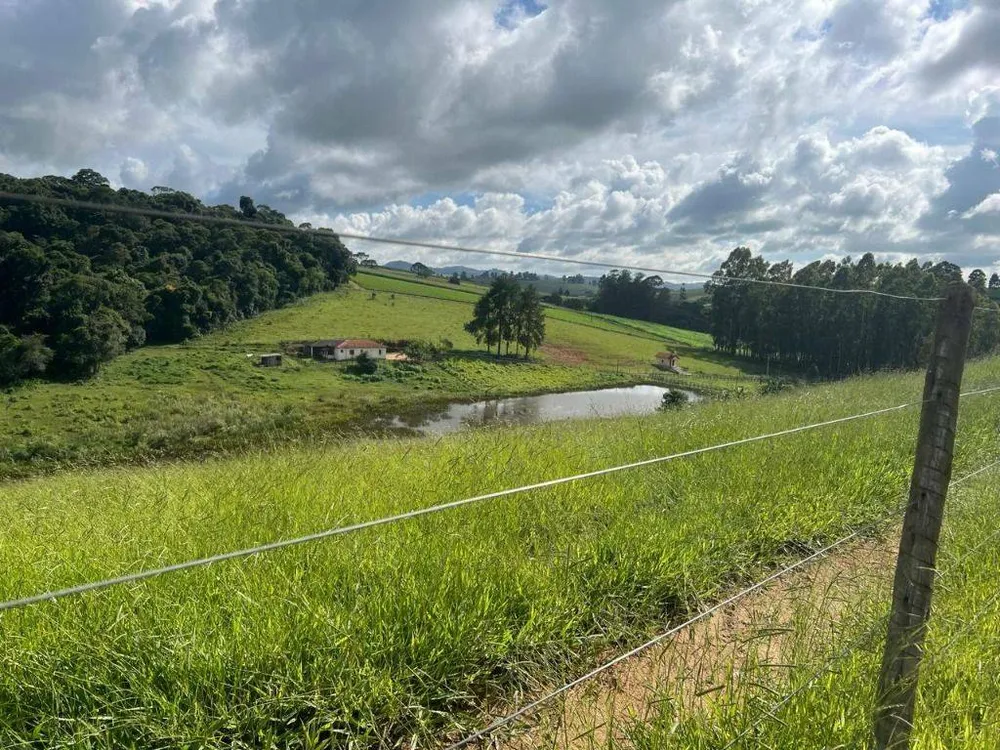 Fazenda, 254 hectares - Foto 11