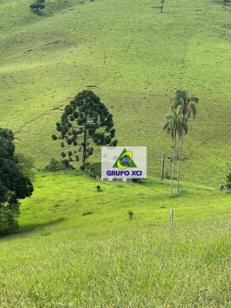 Fazenda, 254 hectares - Foto 6