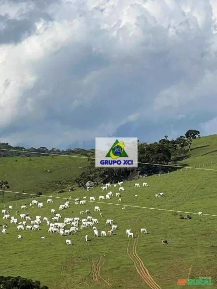 Fazenda à venda, 1500000M2 - Foto 2