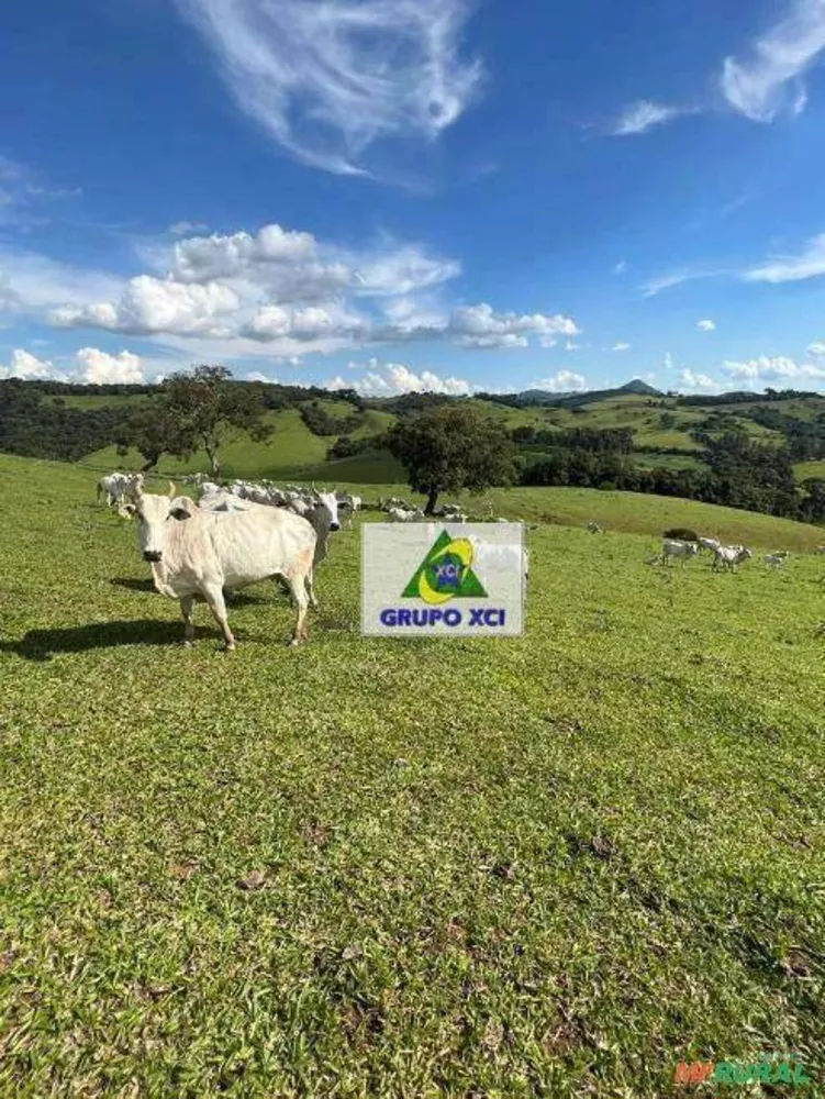 Fazenda à venda, 1500000M2 - Foto 1