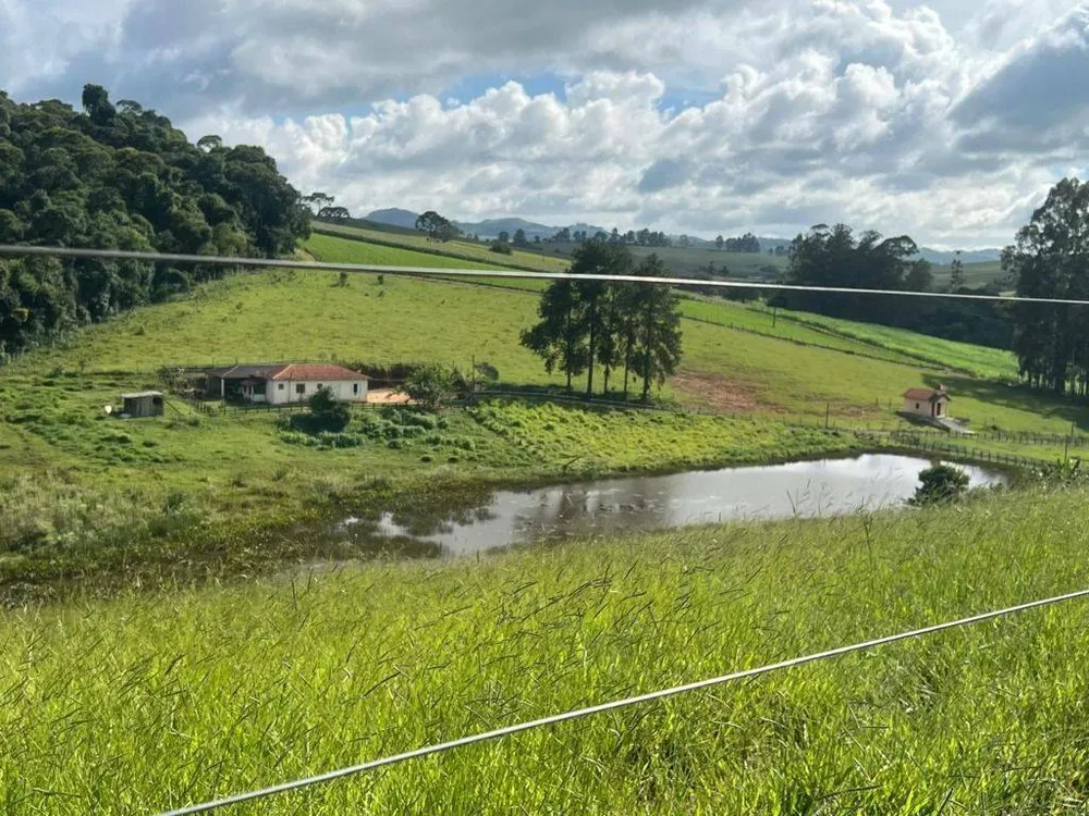 Fazenda, 254 hectares - Foto 10