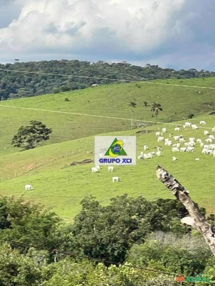 Fazenda à venda, 1500000M2 - Foto 4