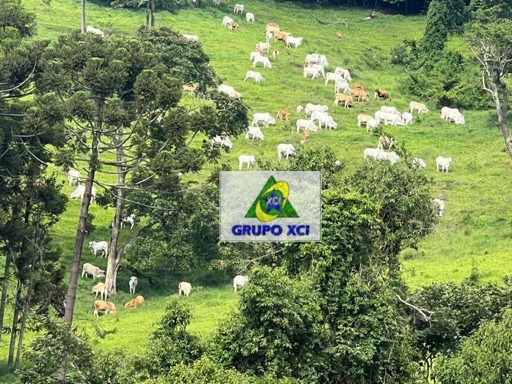 Fazenda, 254 hectares - Foto 1