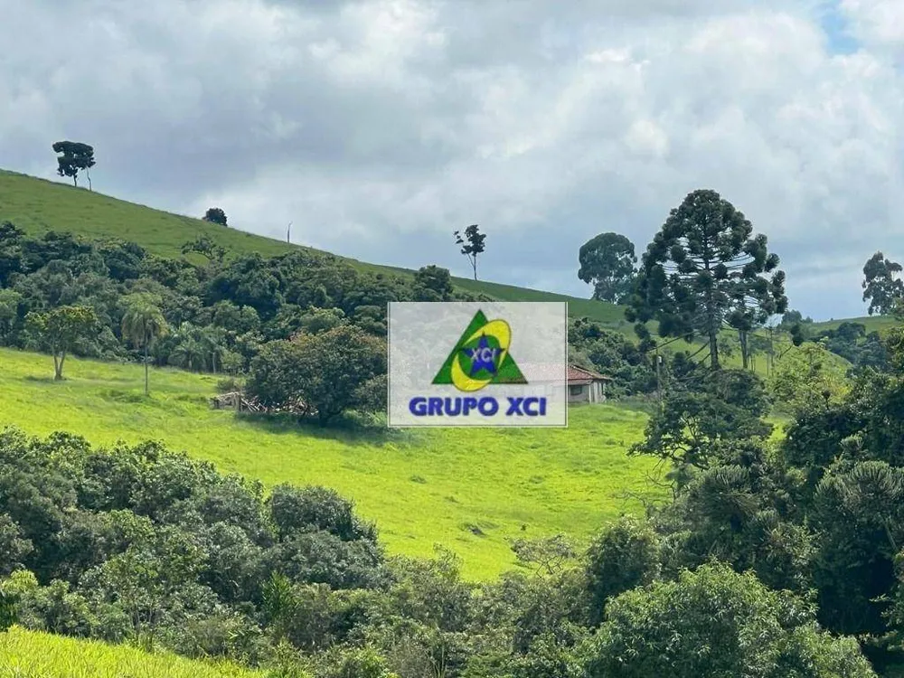 Fazenda, 254 hectares - Foto 8