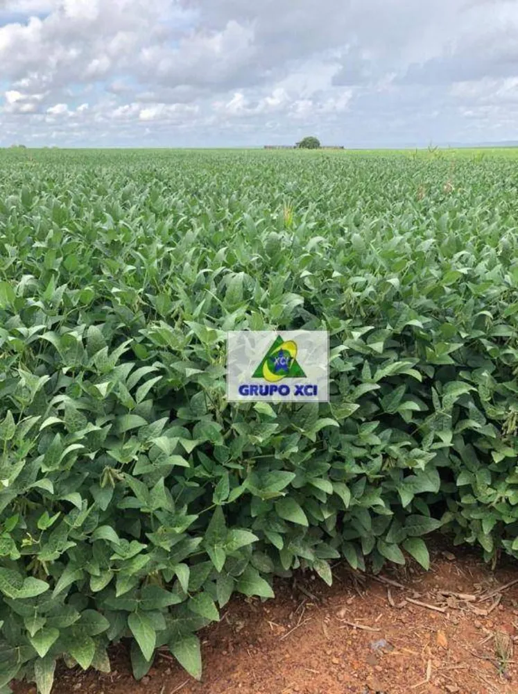 Fazenda, 2490 hectares - Foto 3