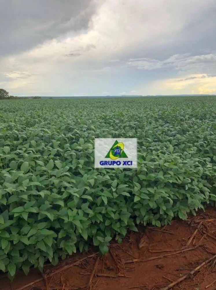 Fazenda, 2490 hectares - Foto 4