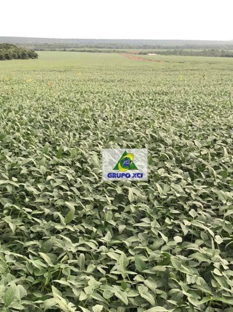 Fazenda, 2490 hectares - Foto 3