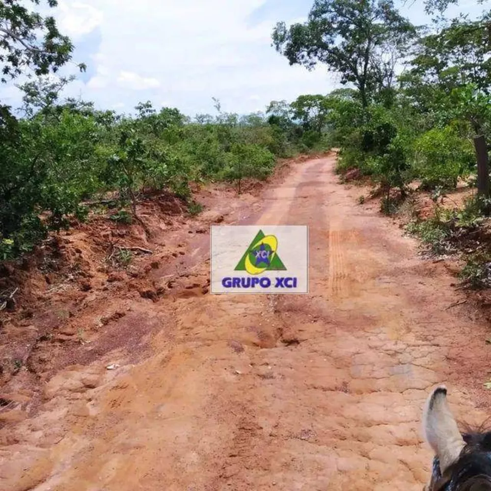 Fazenda à venda, 3870000M2 - Foto 4