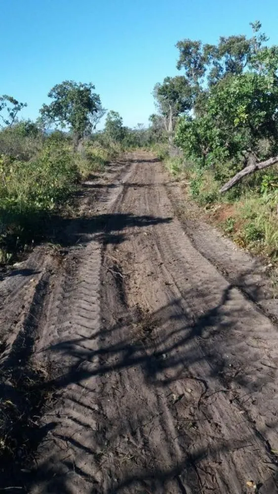 Fazenda, 2994 hectares - Foto 4