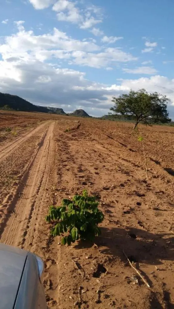 Fazenda, 2994 hectares - Foto 3