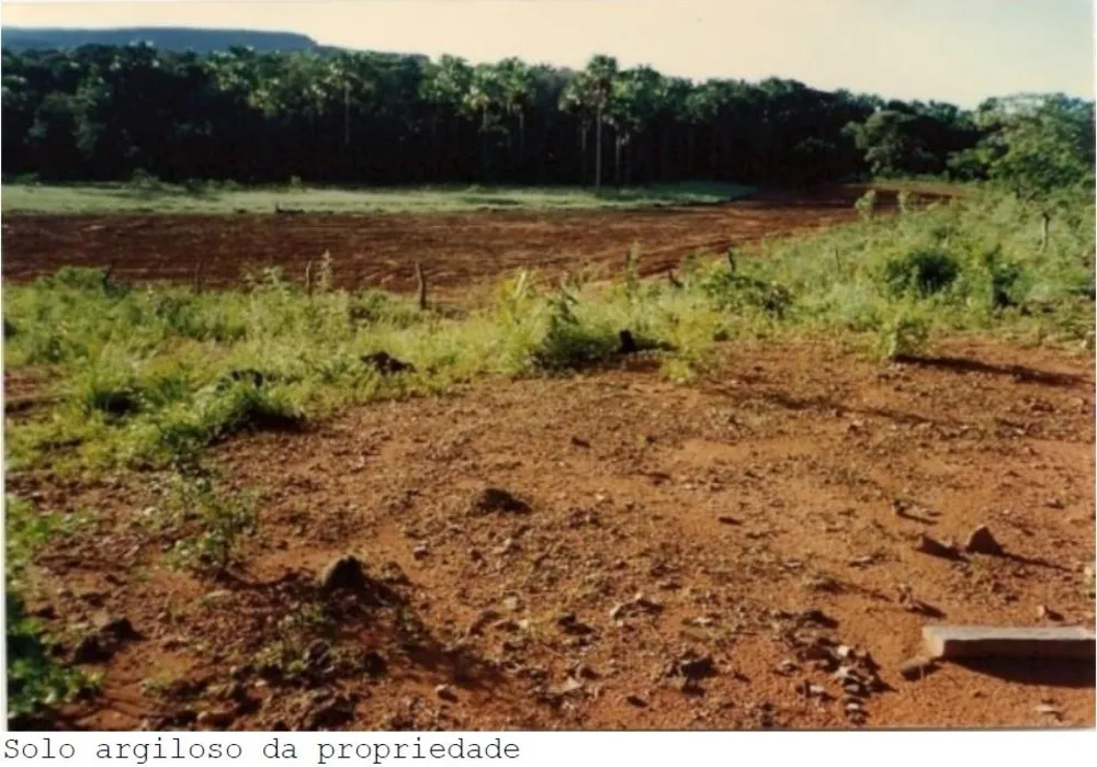 Fazenda, 2994 hectares - Foto 7
