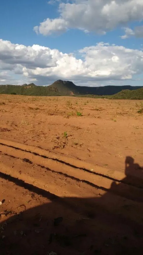 Fazenda, 2994 hectares - Foto 1