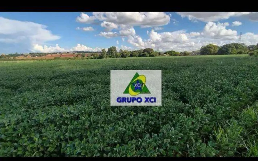 Terreno, 5 hectares - Foto 1