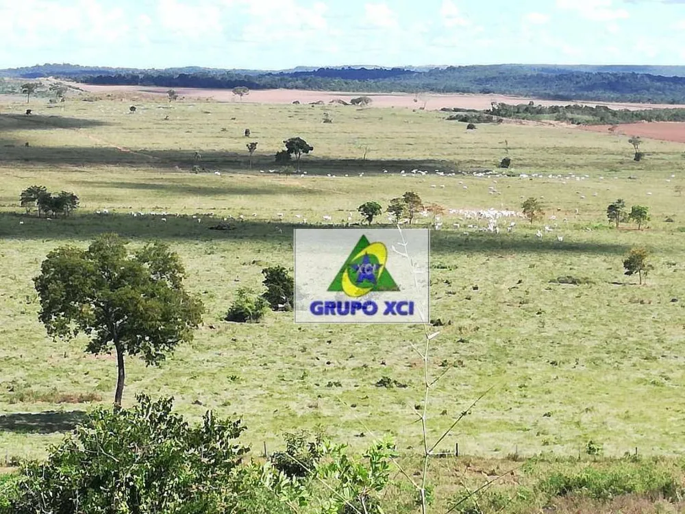 Fazenda, 1034 hectares - Foto 8
