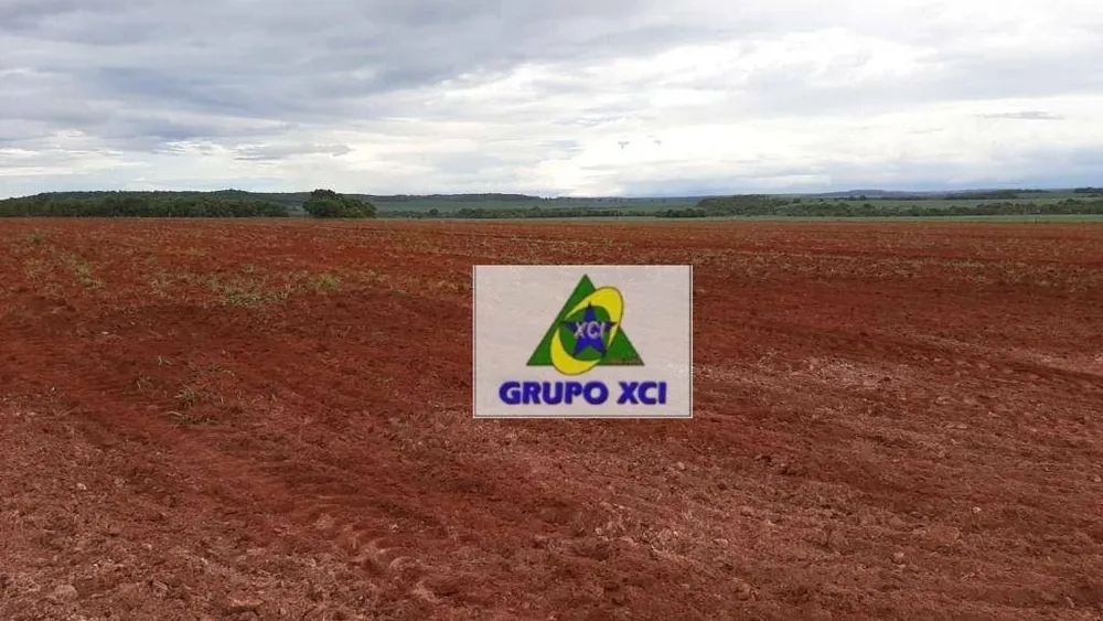 Fazenda, 1034 hectares - Foto 6