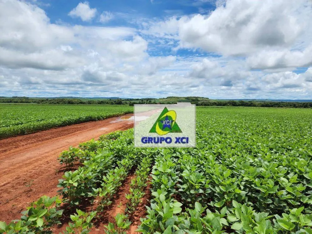 Fazenda, 1034 hectares - Foto 1
