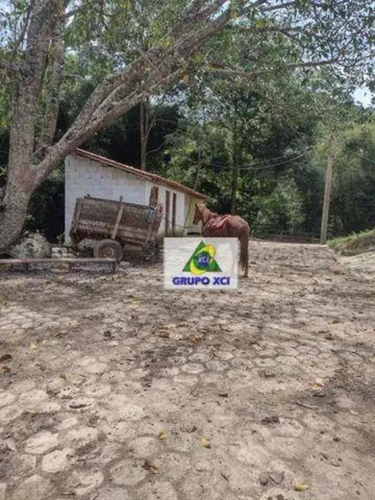 Fazenda, 140 hectares - Foto 3