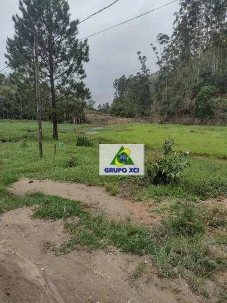 Fazenda, 140 hectares - Foto 4